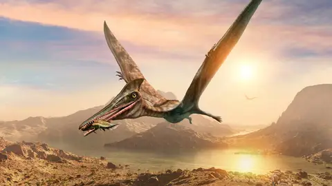 Ilustración de la escena de pterosaurio Ilustración de la escena de pterosaurio