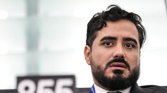 Imagen de archivo del eurodiputado Luis Pérez, Alvise. Imagen de archivo del eurodiputado Luis Pérez, Alvise.