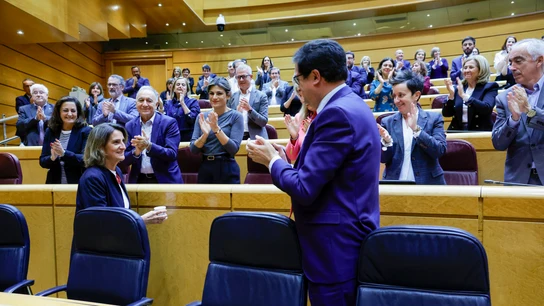 Teresa Ribera recibe la ovación del PSOE en el Senado tras conocer que será vicepresidenta europea Teresa Ribera recibe la ovación del PSOE en el Senado tras conocer que será vicepresidenta europea