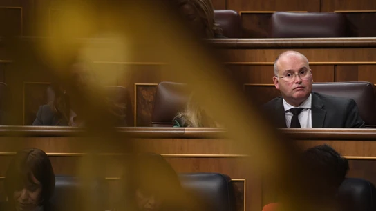 Miguel Tellado, portavoz del PP en el Congreso Miguel Tellado, portavoz del PP en el Congreso