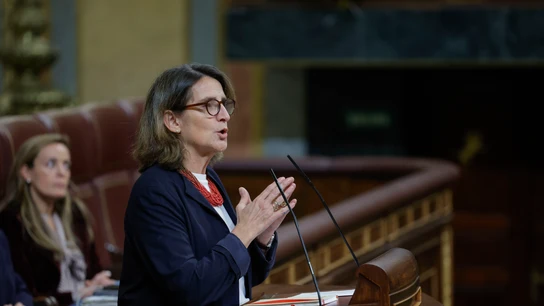 La vicepresidenta tercera del Gobierno, Teresa Ribera, interviene este miércoles en el Congreso La vicepresidenta tercera del Gobierno, Teresa Ribera, interviene este miércoles en el Congreso