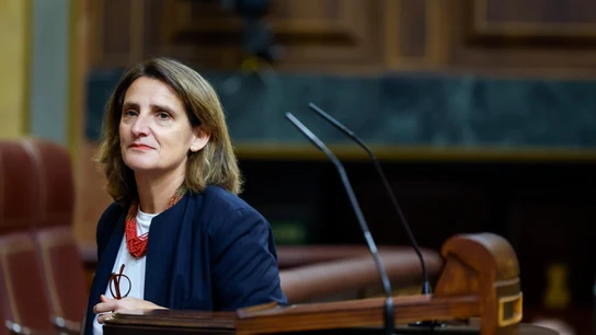 La vicepresidenta tercera del Gobierno y ministra de Transición Ecológica, Teresa Ribera La vicepresidenta tercera del Gobierno y ministra de Transición Ecológica, Teresa Ribera
