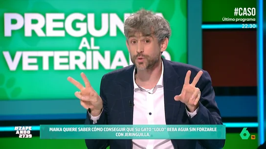 Víctor Algra responde a la consulta de Mayka: ¿Es normal que mi gato no beba agua? Víctor Algra responde a la consulta de Mayka: ¿Es normal que mi gato no beba agua?