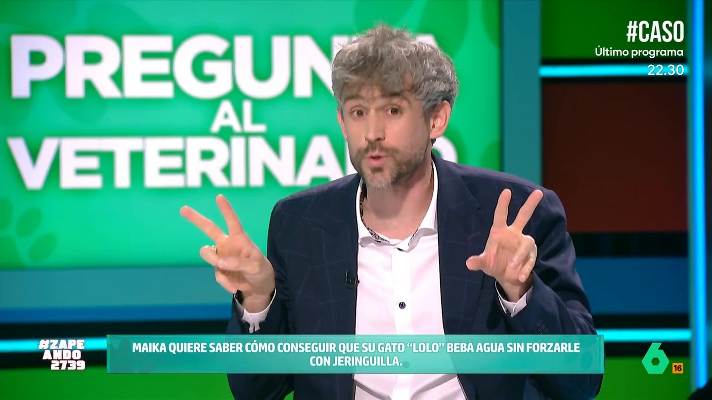 Víctor Algra responde a la consulta de Mayka: ¿Es normal que mi gato no beba agua? Víctor Algra responde a la consulta de Mayka: ¿Es normal que mi gato no beba agua?