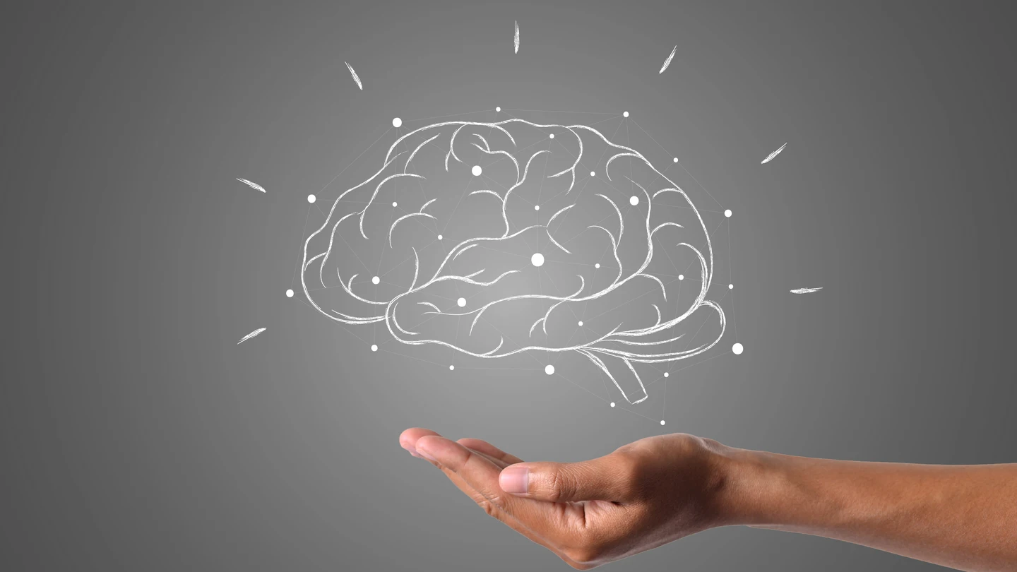 Un cerebro sano disminuye el riesgo de enfermedades neurológicas, según los neurólogos. Un cerebro sano disminuye el riesgo de enfermedades neurológicas, según los neurólogos.