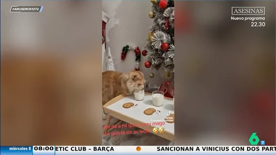 Pillan al gato bebiéndose la leche que era para los Reyes Magos: "La suerte es que no les dejaron chupitos" Pillan al gato bebiéndose la leche que era para los Reyes Magos: "La suerte es que no les dejaron chupitos"