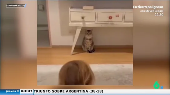 El divertido enfado de una niña con su gato por no ser cariñoso con ella: "Eres un necio, pero te amo mucho" El divertido enfado de una niña con su gato por no ser cariñoso con ella: "Eres un necio, pero te amo mucho"