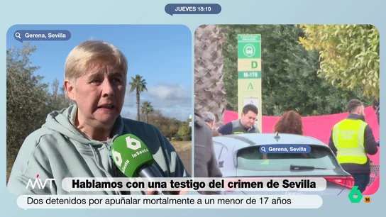 testigo gerena testigo gerena