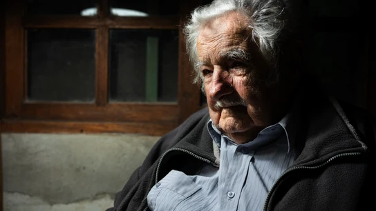 José Mujica posa en el comedor de su casa en Montevideo. José Mujica posa en el comedor de su casa en Montevideo.