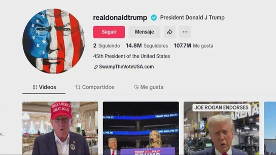 Perfil de TikTok de Donald Trump Perfil de TikTok de Donald Trump