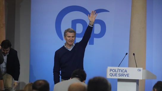 Alberto Núñez Feijóo, presidente del PP Alberto Núñez Feijóo, presidente del PP