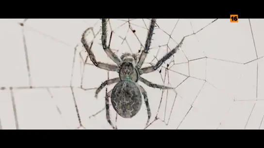 Hoy, en Asesinas, el crimen de la viuda negra de Ciudad Lineal Hoy, en Asesinas, el crimen de la viuda negra de Ciudad Lineal