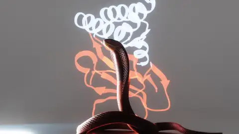 Ilustración de una cobra Ilustración de una cobra