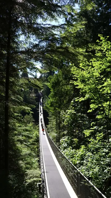 Puente colgante de Capilano Puente colgante de Capilano