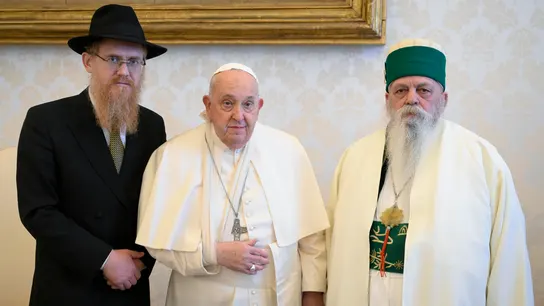 El papa Francisco, con el brazo en cabestrillo tras su caída. El papa Francisco, con el brazo en cabestrillo tras su caída.