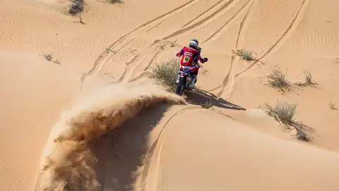 Tosha Schareina Tosha Schareina