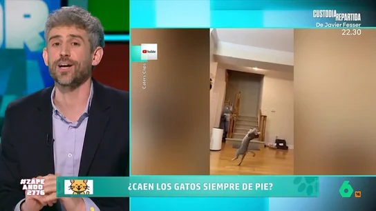 Víctor Algra desvela qué es el síndrome del gato paracaidista: "Les permite girar todo su cuerpo para preparar la caída" Víctor Algra desvela qué es el síndrome del gato paracaidista: "Les permite girar todo su cuerpo para preparar la caída"