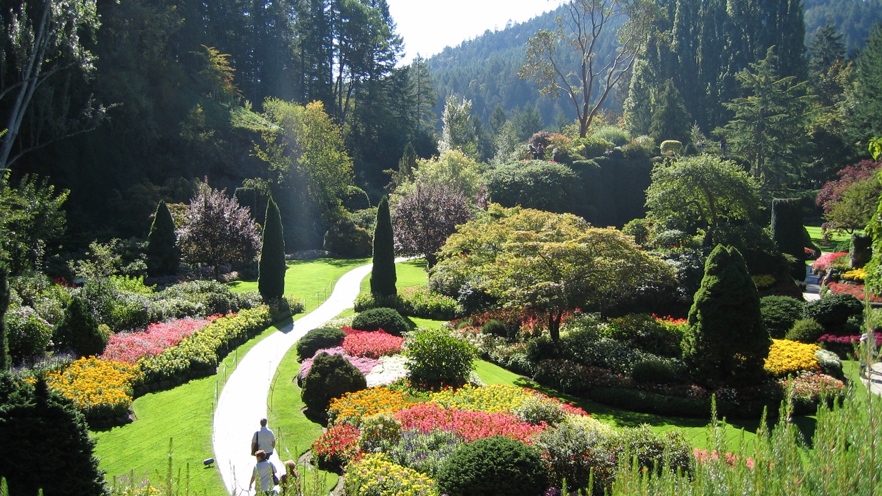 ADN Ancestral Revelado: El Secreto Oculto de las Plantas