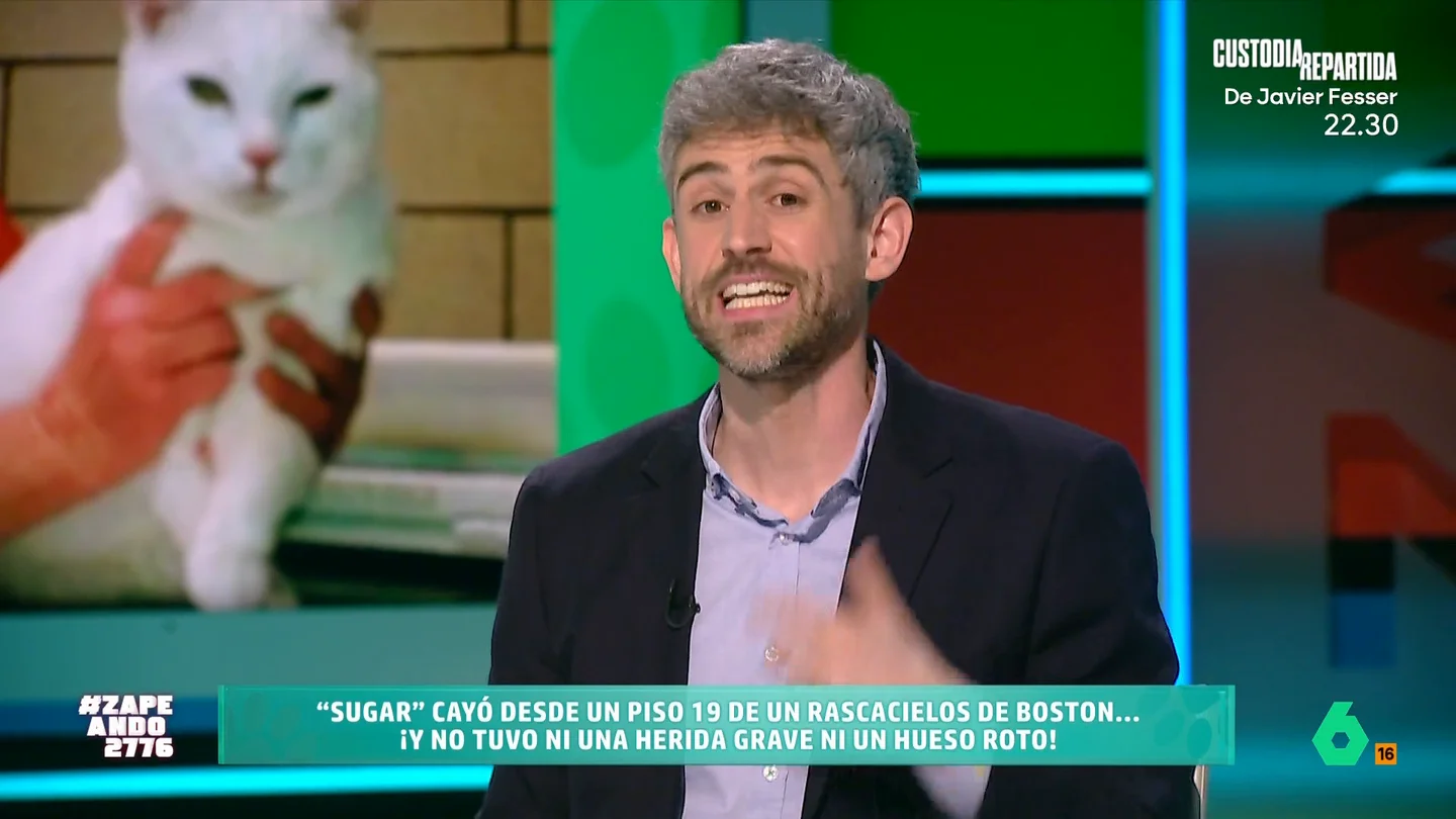 ¿Por qué las caídas desde menos de diez pisos son más letales para los gatos? Víctor Algra lo explica en Zapeando ¿Por qué las caídas desde menos de diez pisos son más letales para los gatos? Víctor Algra lo explica en Zapeando