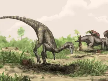 El Nyasasaurus podría ser el dinosaurio más antiguo El Nyasasaurus podría ser el dinosaurio más antiguo
