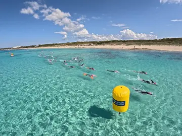 Marnatón Marnatón