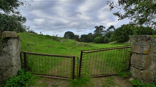 Somieres usados como puertas de una finca en el campo. Somieres usados como puertas de una finca en el campo.