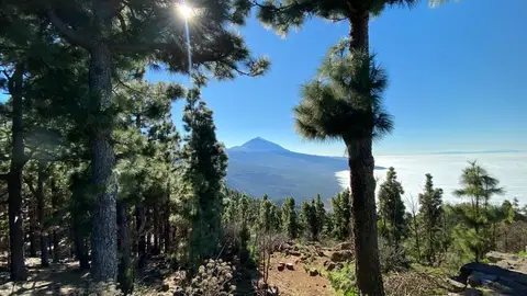 Mirador de Chipeque, Tenerife Mirador de Chipeque, Tenerife