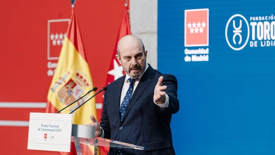 El primer hombre que se pintó en la prehistoria no fue un torero: un arqueólogo y un historiador desmontan al presidente del Senado El presidente del Senado, Pedro Rollan, durante la Presentación del Premio Nacional de Tauromaquia