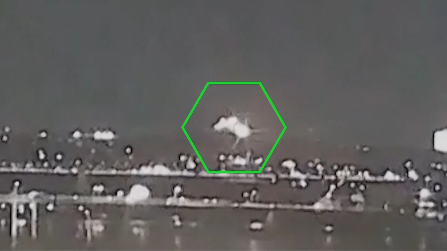 Señal de seguimiento desactivada y vuelo bajo, las causas del accidente aéreo de Washington Imagen del impacto entre un helicóptero Black Hawk y un avión de American Eagle