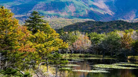 Hokkaido, Japón Hokkaido, Japón