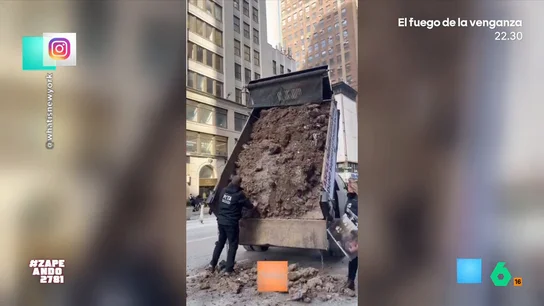 Su protesta contra las macrogranjas arrojando estiércol se fastidia por culpa del frío Un activista decide organizar una protesta en medio de una ciudad usando un volquete lleno de estiércol. Pero, las bajas temperaturas terminan congelando las heces que hay en el remolque. No te pierdas qué solución idea el joven.