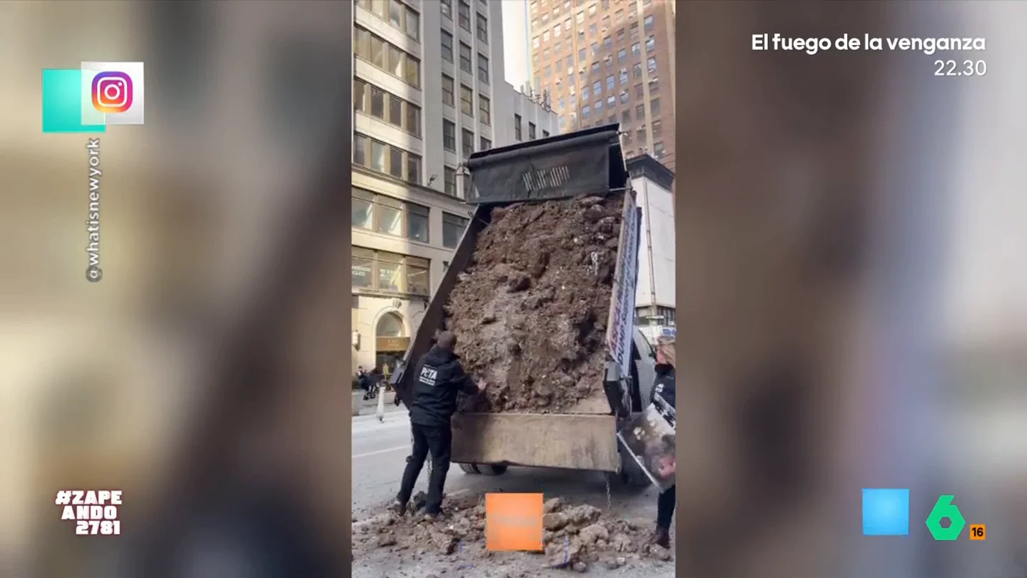 Su protesta contra las macrogranjas arrojando estiércol se fastidia por culpa del frío Un activista decide organizar una protesta en medio de una ciudad usando un volquete lleno de estiércol. Pero, las bajas temperaturas terminan congelando las heces que hay en el remolque. No te pierdas qué solución idea el joven.