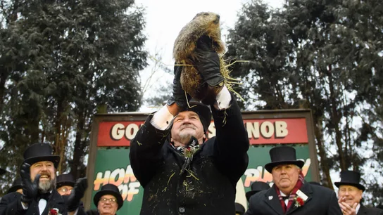 Imagen de archivo del Día de la Marmota de 2019 en Punxsutawney (Pensilvania). Imagen de archivo del Día de la Marmota de 2019 en Punxsutawney (Pensilvania).