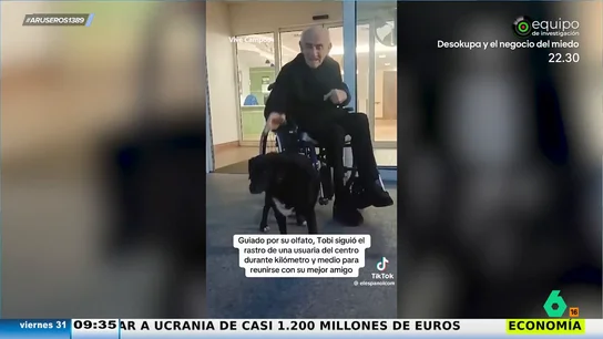 Un perro se escapa de su casa en Cantabria para encontrarse con su dueño en la residencia de ancianos en la que ahora vive Un perro se escapa de su casa en Cantabria para encontrarse con su dueño en la residencia de ancianos en la que ahora vive