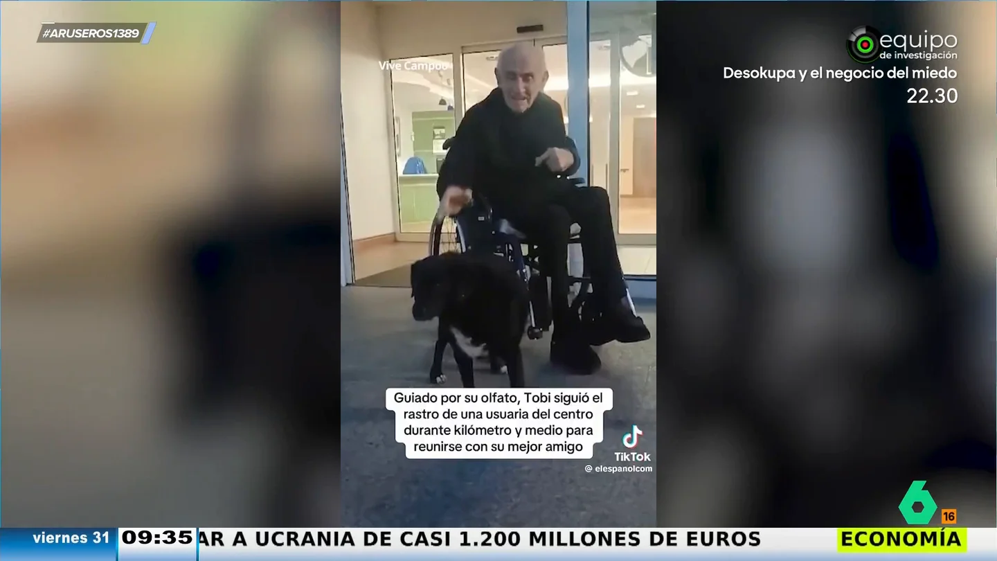 Un perro se escapa de su casa en Cantabria para encontrarse con su dueño en la residencia de ancianos en la que ahora vive Un perro se escapa de su casa en Cantabria para encontrarse con su dueño en la residencia de ancianos en la que ahora vive