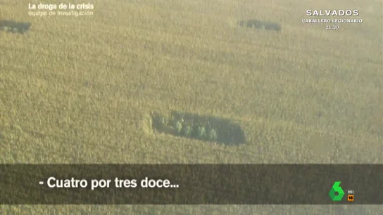 Así camuflaban la marihuana en el maíz: Equipo de Investigación acompaña a la Guardia Civil hasta las plantaciones ilegales Así camuflaban la marihuana en el maíz: Equipo de Investigación acompaña a la Guardia Civil hasta las plantaciones ilegales