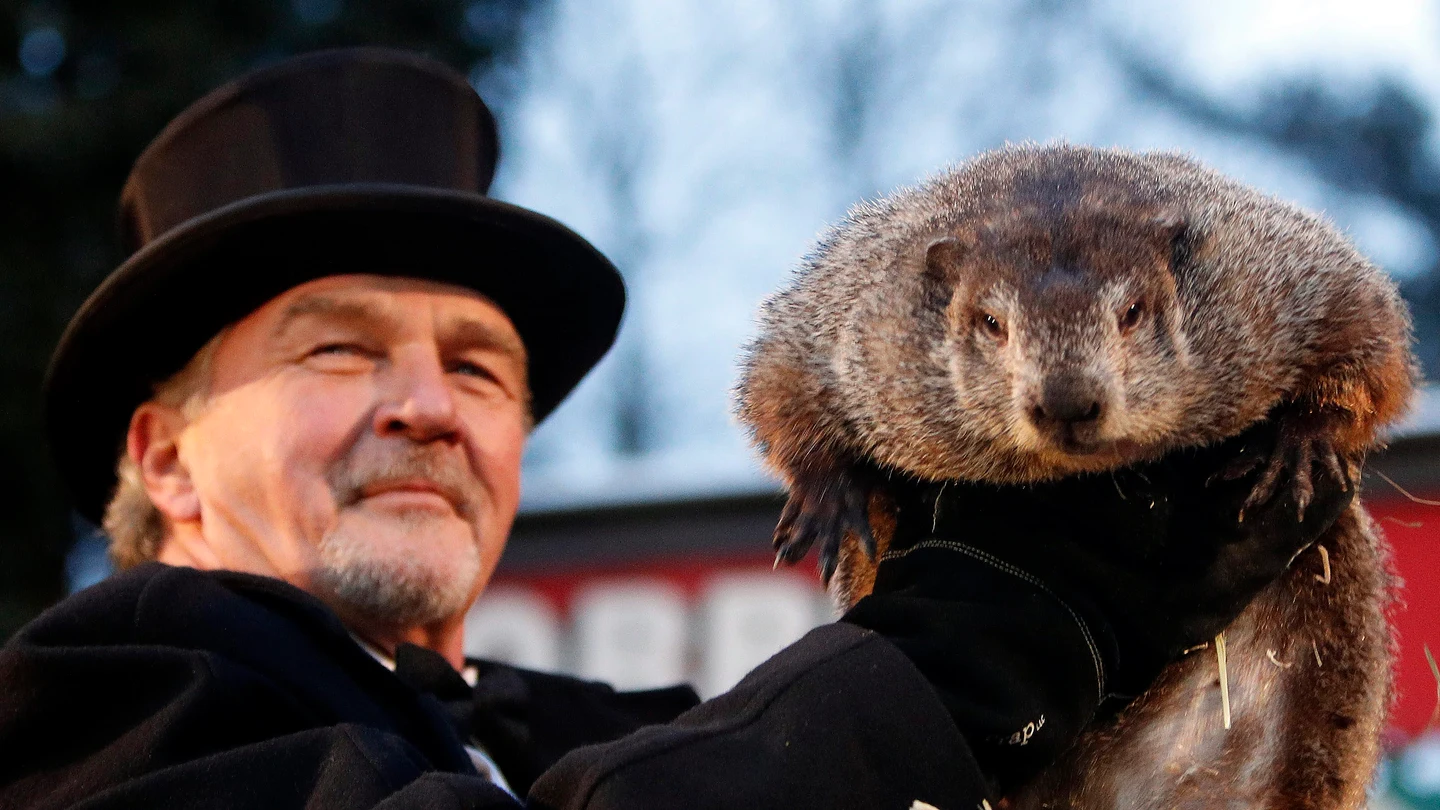 Fotografía de archivo de un miembro del Club de la Marmota sosteniendo a la marmota Phil Fotografía de archivo de un miembro del Club de la Marmota sosteniendo a la marmota Phil