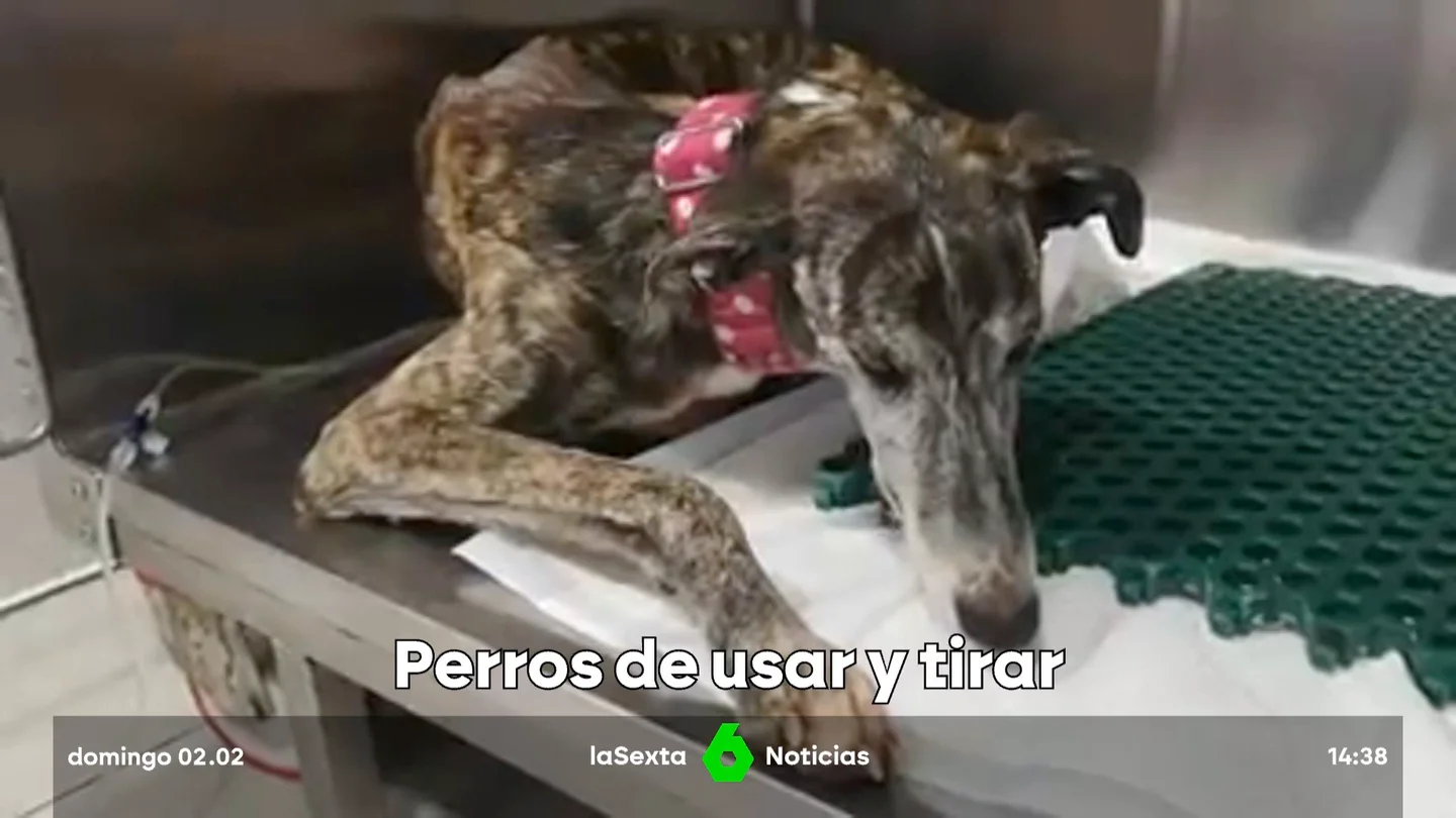 PERRETES PERRETES