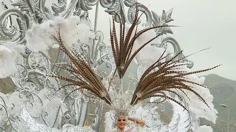 Reina del Carnaval de Tenerife en 2012 Reina del Carnaval de Tenerife en 2012