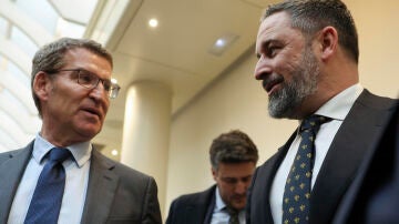  El l&iacute;der del PP, Alberto N&uacute;&ntilde;ez Feij&oacute;o, y el de Vox, Santiago Abascal, en una imagen de archivo. 