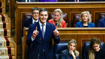 El presidente del Gobierno, Pedro S&aacute;nchez, durante su intervenci&oacute;n en la primera sesi&oacute;n de control al Ejecutivo del a&ntilde;o