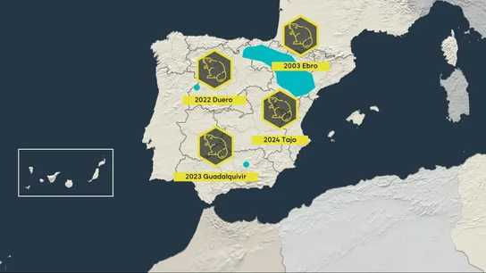 Los castores invaden España y destruyen ecosistemas Los castores invaden España y destruyen ecosistemas