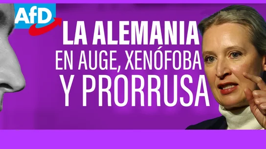 Rechazo al matrimonio homosexual y al apoyo europeo a Ucrania: así es el programa xenófobo de la ultraderecha alemana AFD Rechazo al matrimonio homosexual y al apoyo europeo a Ucrania: así es el programa xenófobo de la ultraderecha alemana AFD
