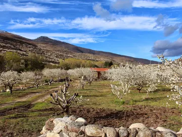 Valle del Jerte Valle del Jerte