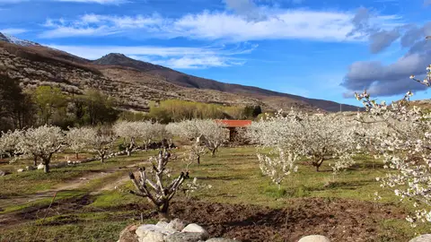 Valle del Jerte Valle del Jerte