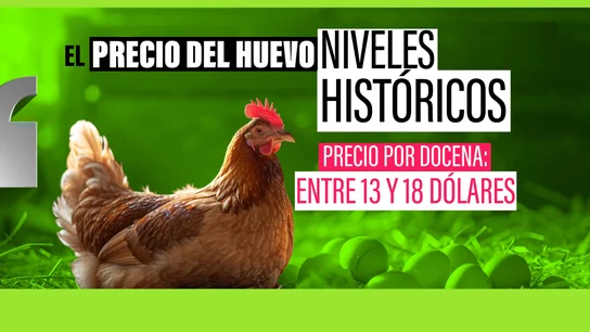 El alquiler de gallinas, la solución de moda a la escasez de huevos en Estados Unidos El alquiler de gallinas, la solución de moda a la escasez de huevos en Estados Unidos