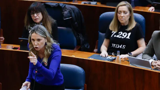 La portavoz del Grupo Socialista en la Asamblea de Madrid, Mar Espinar, en la sesión de control durante el pleno este jueves. La portavoz del Grupo Socialista en la Asamblea de Madrid, Mar Espinar, en la sesión de control durante el pleno este jueves.