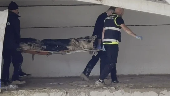 Encuentran un cadáver donde se buscaba al hombre que cayó al río Segura, en Murcia Encuentran un cadáver donde se buscaba al hombre que cayó al río Segura, en Murcia