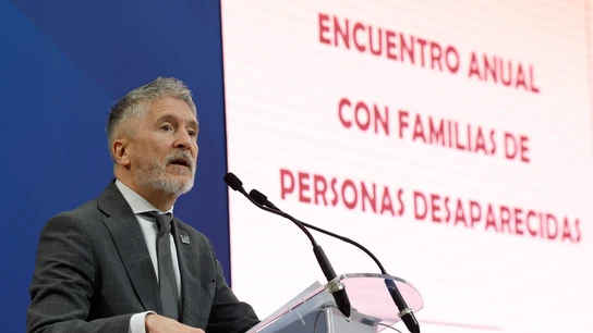El ministro del Interior, Fernando Grande-Marlaska, preside la reunión de la Comisión de Seguimiento del I Plan Estratégico en Materia de Personas Desaparecidas El ministro del Interior, Fernando Grande-Marlaska, preside la reunión de la Comisión de Seguimiento del I Plan Estratégico en Materia de Personas Desaparecidas