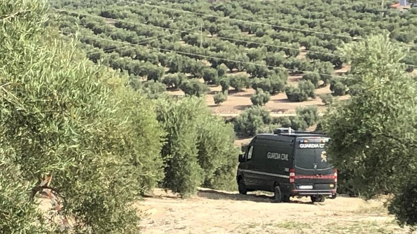 Furgón de la Guardia Civil durante una jornada de búsqueda desarrollada en una finca de olivar en 2023. Furgón de la Guardia Civil durante una jornada de búsqueda desarrollada en una finca de olivar en 2023.
